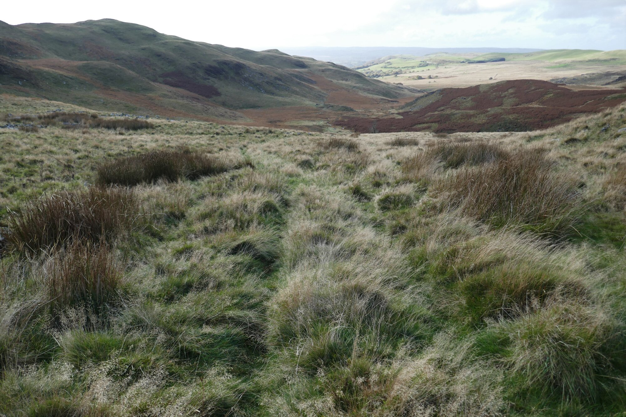 RachelSeabrook.net | Wild Walking | Teifi Pools | pic34